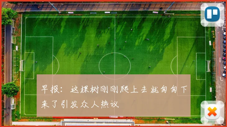 早报：这棵树刚刚爬上去就匆匆下来了引发众人热议