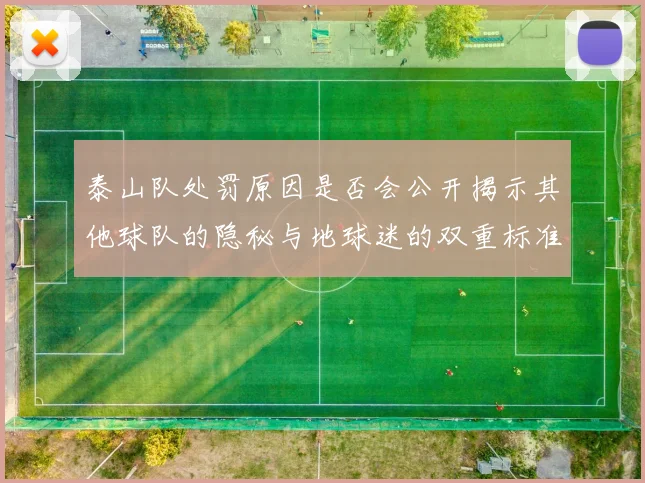 泰山队处罚原因是否会公开揭示其他球队的隐秘与地球迷的双重标准